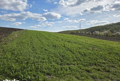 Teren de 5800 mp, în Mărăști - 1