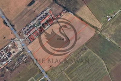 Teren agricol extravilan de 5050 mp, în Blejoi - 5