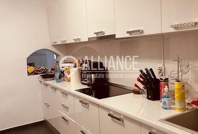 Vila deosebita Kamsas-Baba Novac (COD 08) - 9