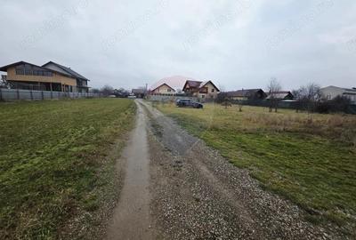 Teren 519mp Dumbrava Rosie / Strada CRANGULUI - 9
