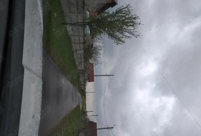 Teren de 11693 mp, în Cornești - 1