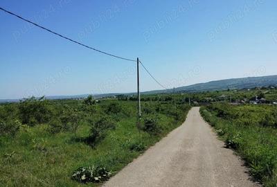 Terenuri ?i case cu plata in rate Cartier Cercu, Barnova (Ia?i) - 3