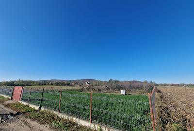 Teren agricol intravilan de 2500 mp, în Răscruci