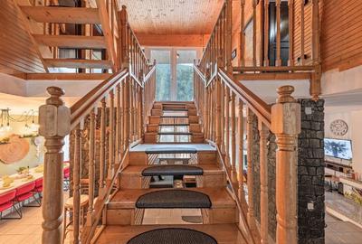 Casă de vacanță de vânzare 348 mp+831 mp teren - 2