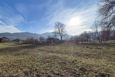 Teren Construcții intravilan de 1280 mp, în Stejaru (Pângărați) - 3