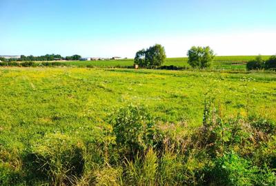 Teren 18.247 mp cu balta de pescuit Misca, Comuna Chi... - 4