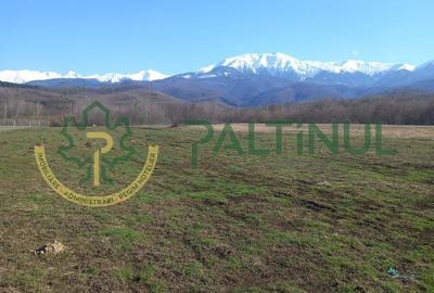 Teren de 1737 mp, în Chirpăr - 6