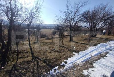 Teren extravilan de vanzare, 25 ari, zona Rusul Bargaului - 6