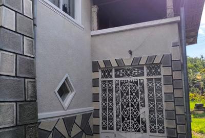 Casa spatioasa 8 camere+cladire auxiliara pretabil locuinta sau afacere+magazin - 10