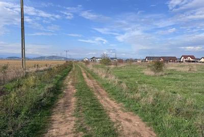 Teren dezvoltare rezidentiala Tarlungeni - zona Izvor - 11