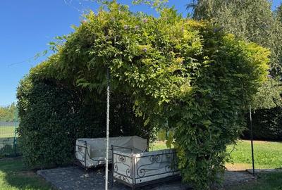 Casă individuală cu 5 camere cu Canalizare în Pipera - 3