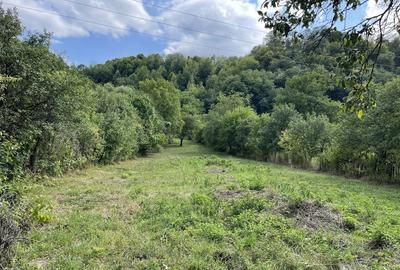 Spațiu comercial, în Târgu Ocna - 3