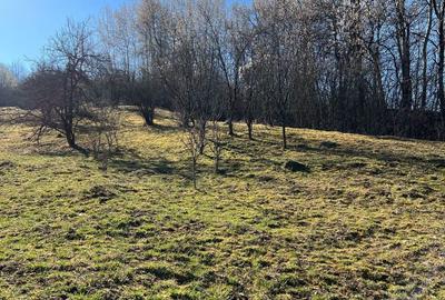 Teren de 4300 mp, în Central - 3