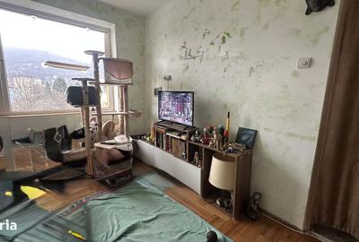 Apartament cu 2 camere în Săsar - 4