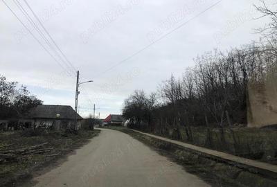 Teren de 3478 mp, în Viișoara - 1