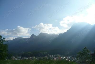 Teren în Valea Alba - 4