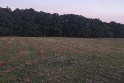 Teren Construcții extravilan de 6200 mp, în Baciu - 2