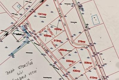 Teren Construcții intravilan de 400 mp, în Târgșoru Vechi - 1
