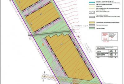 Teren Construcții intravilan de 370000 mp, în Ariceștii Rahtivani - 2