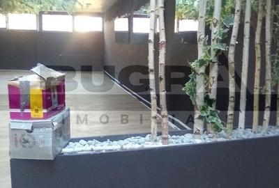 Spatiu comercial de 220mp, vad excelent, zona Caminelor Studentesti - 3