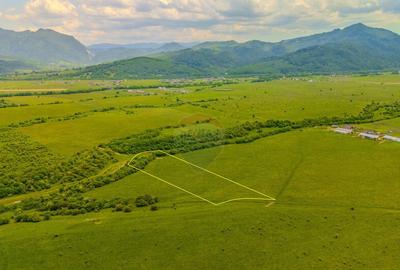 Teren 10,800mp Rasnov / Drumul DN73 - 15