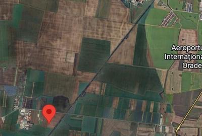 Teren de 8632 mp, în Cociuba Mare - 1