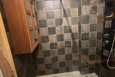 Apartament cu 5 camere decomandat în Cișmigiu - 15