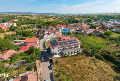 Spațiu comercial, de 1,350 mp, în Sânmartin - 17