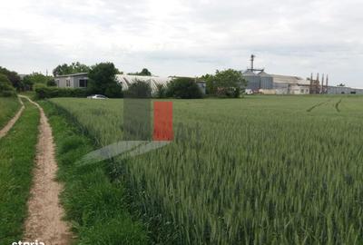 Spațiu comercial, în Central - 19