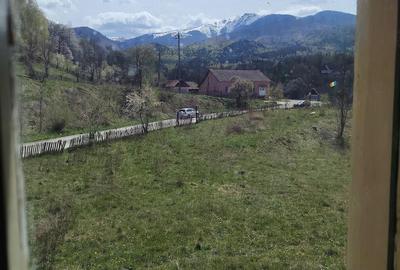Apartament cu 3 camere decomandat în Jiu-Paroșeni - 1