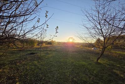CASĂ P+E+M, 2340 mp teren - VALEA MĂRULUI - 19