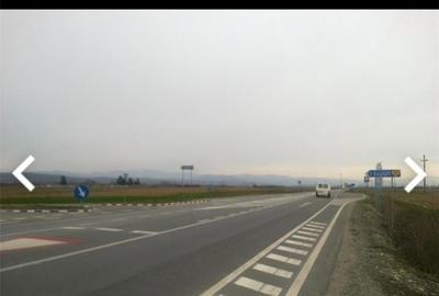 Teren de 5500 mp, în Lugojel - 6
