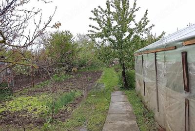 Casă cu 3 camere cu Teren 1000 Mp în Central - 2