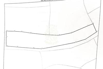 Teren agricol extravilan de 3966 mp, în Budacu de Sus - 3
