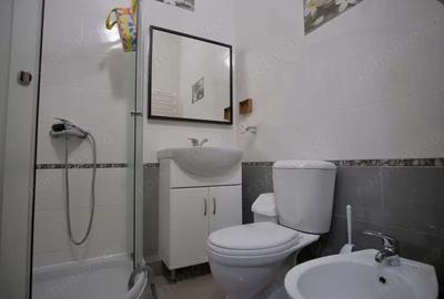 Garsonieră în Costin Georgian - 2