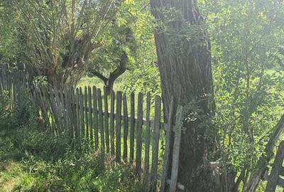 Teren Poienari la doar 9 km de Cetate - 4