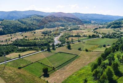 Teren Manastirea Humorului / Strada Principala 22,238 MP - 4