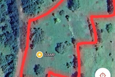 Teren Construcții intravilan de 6459 mp, în Luncoiu de Jos - 2