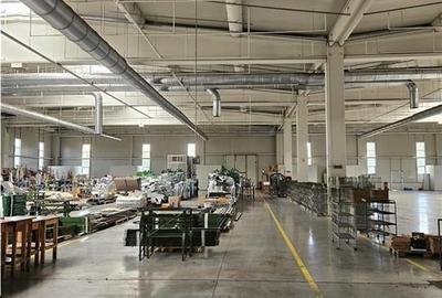 Spatiu Industrial - 6500 mp - Productie - Depozitare - Distributie - 3