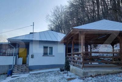 Casă cu 2 camere cu Teren 2300 Mp în Cosminele