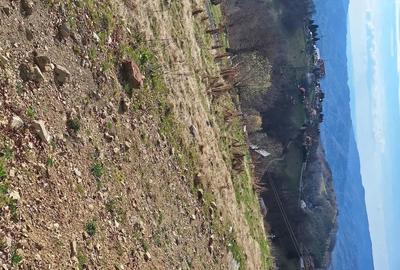 Teren de 700 mp, în Petros - 5