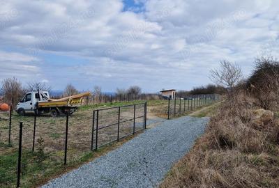 Teren de 800 mp, în Făget - 2