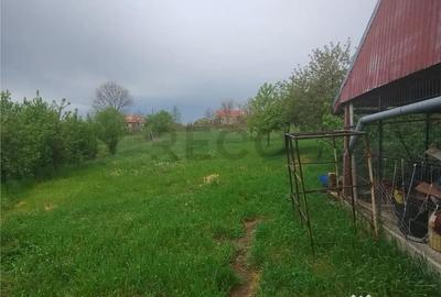 Casă cu 9 camere cu Teren 2600 Mp în Hotar - 6