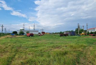 Teren Construcții intravilan de 10000 mp, în Nord-Est - 11