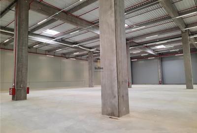 Spatiu Industrial - 5000 mp - Logistica - Productie - Depozitare - Distributie - 13
