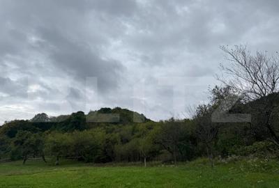 Teren intravilan in Boholt, 11.510 mp - 1