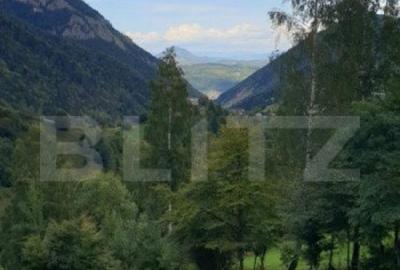 Teren 13.570 mp, Moieciu Pestera - 8