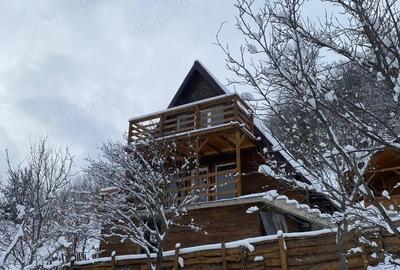 Casă cu Teren 2000 Mp în Central - 3