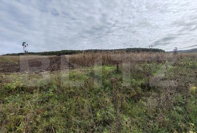 Teren intravilan de vanzare - 8