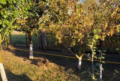 Teren intravilan 1800mp | Casa 2 camere - 5